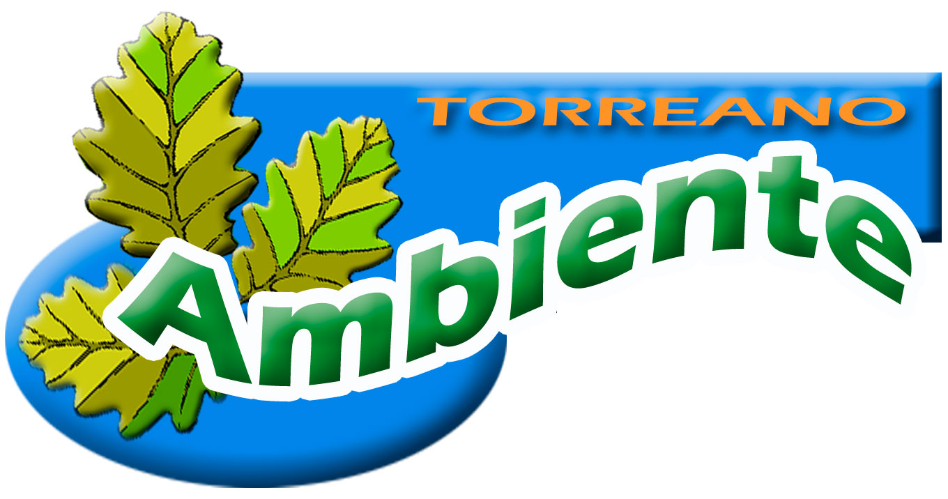 logo ambiente